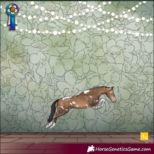 Horse Color:Gray White Spotted Amber Champagne Tobiano Rabicano 