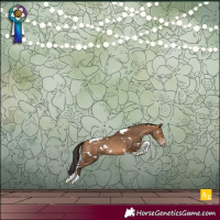 Horse Color:Gray White Spotted Amber Champagne Tobiano Rabicano 