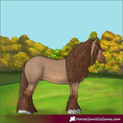 Horse Color:Red Dun 