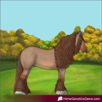 Horse Color:Red Dun