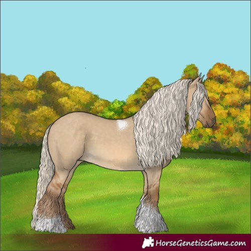 Horse Color:Chocolate Palomino Dun Tobiano