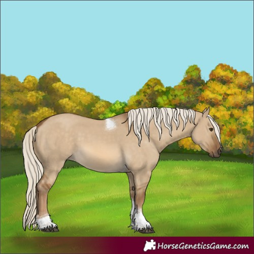 Horse Color:Chocolate Palomino Dun Tobiano 