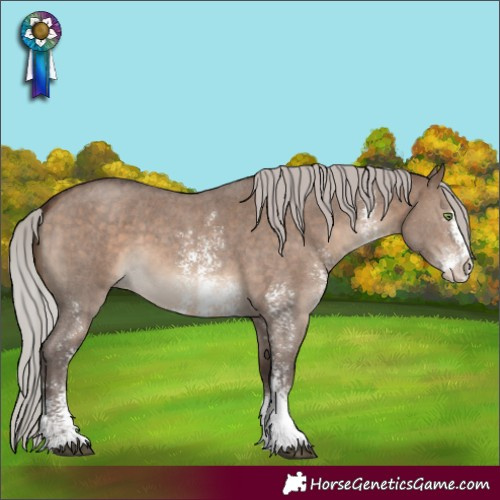 Horse Color:Silver Brown Dun Sabino 
