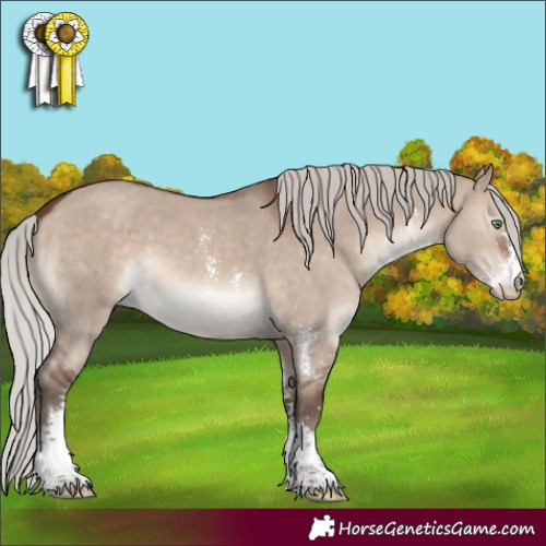 Horse Color:Silver Brown Dun Mushroom Sabino