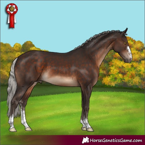 Horse Color:Silver Brown Sabino