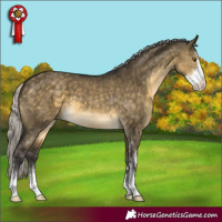 Horse Color:Silver Buckskin Dun Mushroom Sabino