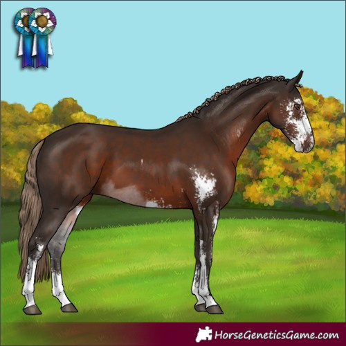 Horse Color:Liver Chestnut Sabino 