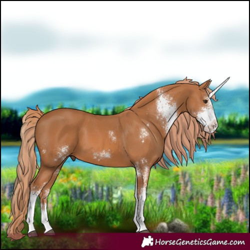 Horse Color:Chestnut Sabino