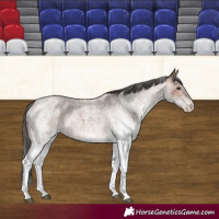Horse Color:White Spotted Bay Roan Varnish 