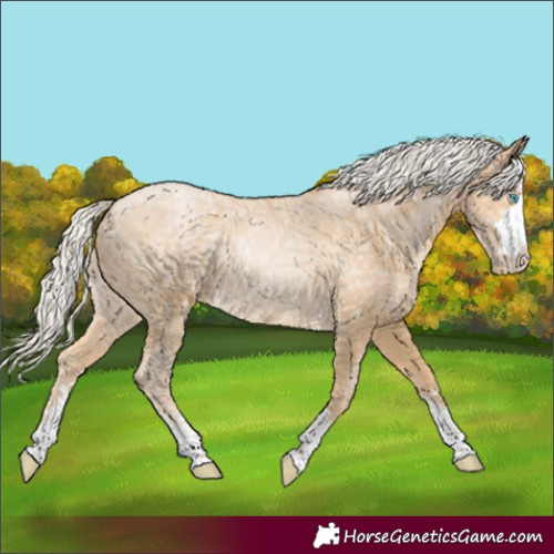 Horse Color:Silver Buckskin Ice Pearl