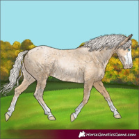 Horse Color:Silver Buckskin Ice Pearl 