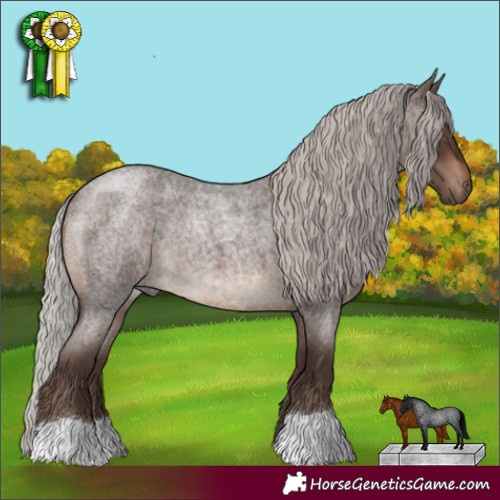 Horse Color:Silver Brown Roan 