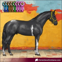 Horse Color:Black Tobiano 