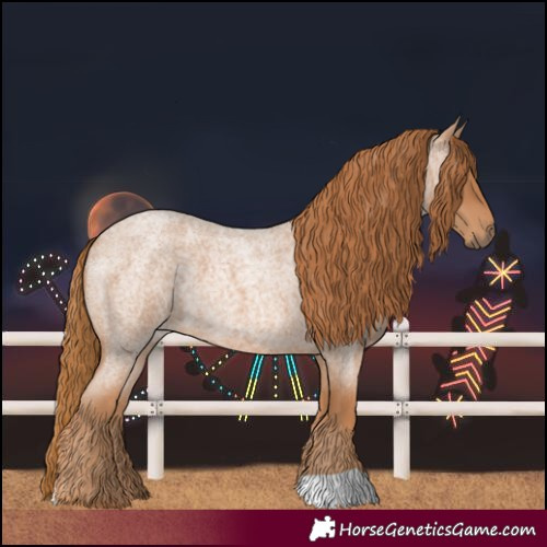 Horse Color:Red Roan