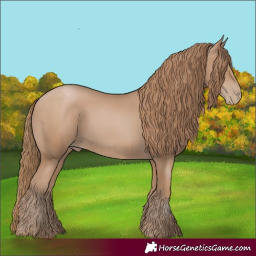 Horse Color:Black Pearl