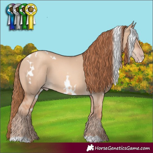Horse Color:White Spotted Gold Champagne Dun