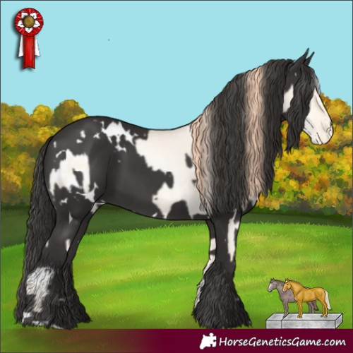Horse Color:White Spotted Classic Cream Champagne Pearl Dun Appaloosa  and White Spotted Smoky Black 