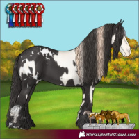 Horse Color:White Spotted Classic Cream Champagne Pearl Dun Varnish  and White Spotted Smoky Black 