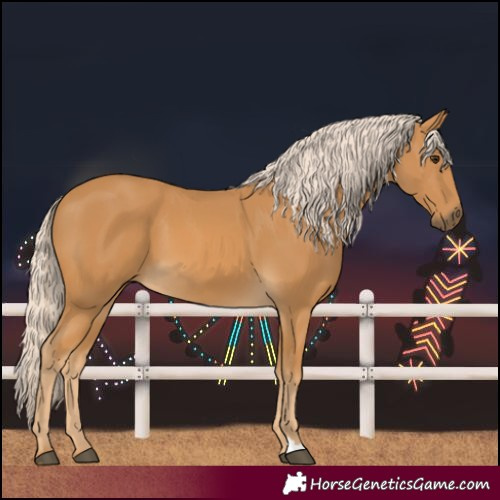 Horse Color:Palomino