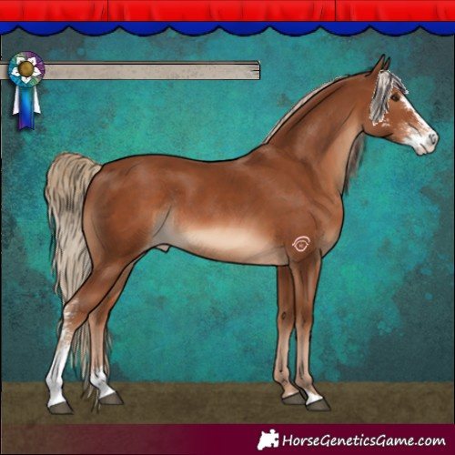 Horse Color:Chestnut Sabino Varnish Rabicano 