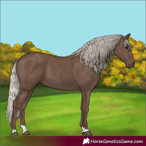 Horse Color:Silver Black 