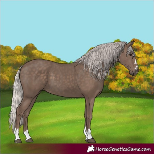 Horse Color:Silver Black 