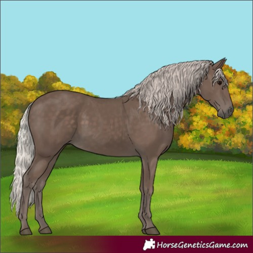 Horse Color:Silver Black 