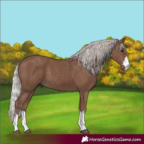 Horse Color:Silver Black