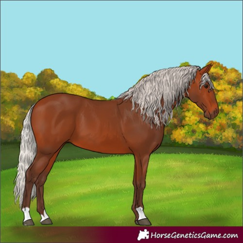 Horse Color:Silver Bay