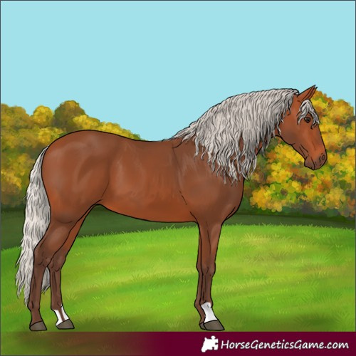 Horse Color:Silver Bay