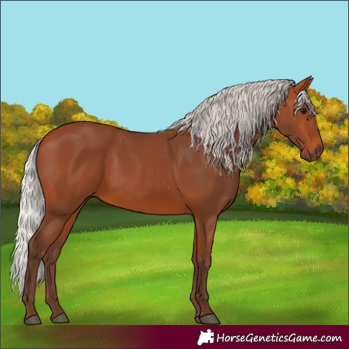 Horse Color:Silver Bay 