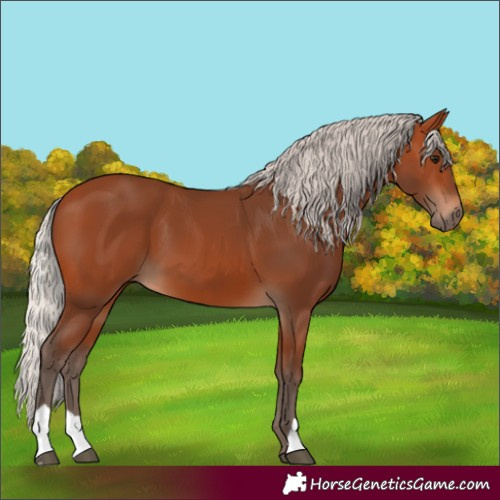 Horse Color:Silver Bay