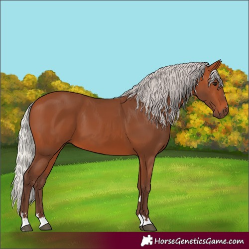 Horse Color:Silver Bay