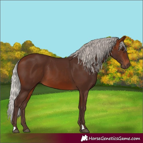 Horse Color:Silver Brown 