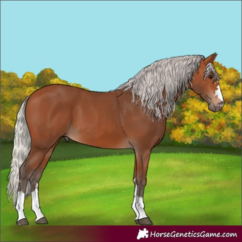 Horse Color:Silver Bay