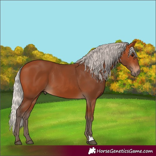 Horse Color:Silver Bay