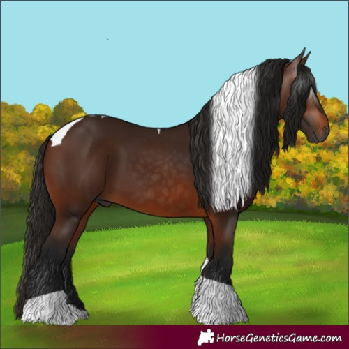 Horse Color:Gray Bay Tobiano 