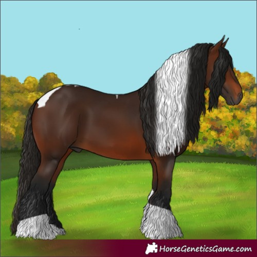 Horse Color:Gray Bay Tobiano 