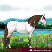 Horse Color:Bay Dun Frame Near Fewspot 