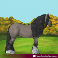 Horse Color:Grullo Tobiano