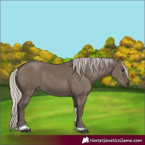 Horse Color:Silver Grullo Tobiano