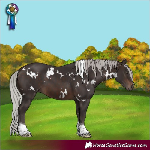 Horse Color:White Spotted Silver Brown Tobiano