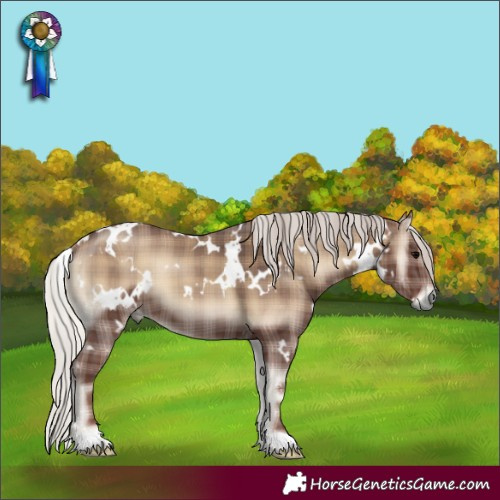 Horse Color:Plaid White Spotted Silver Blue Onyx