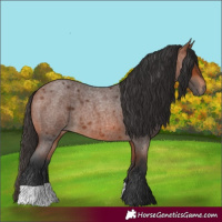 Horse Color:Bay Roan 