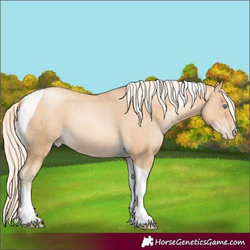 Horse Color:Gold Cream Champagne Pearl Tobiano 