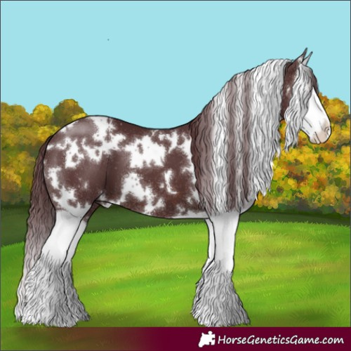 Horse Color:White Spotted Chocolate Brown Splash 