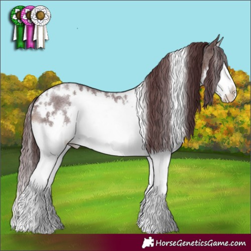 Horse Color:White Spotted Chocolate Brown Roan Splash 