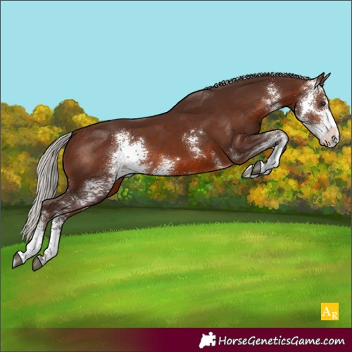 Horse Color:Unknown 