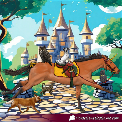 Horse Color:Bay 
