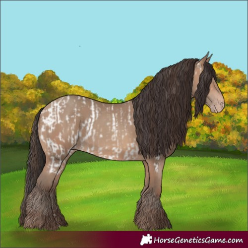 Horse Color:Sable Champagne Appaloosa  and Sable Champagne 